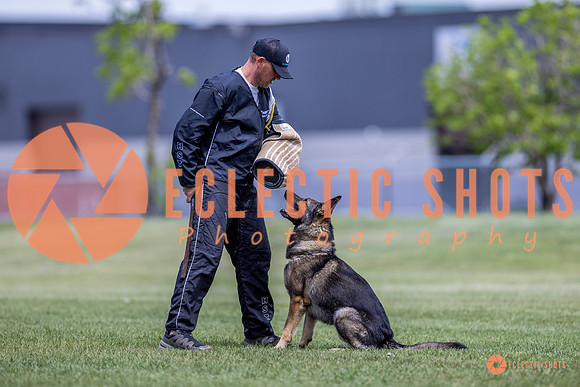 2025-K9Force-MayExams-7807