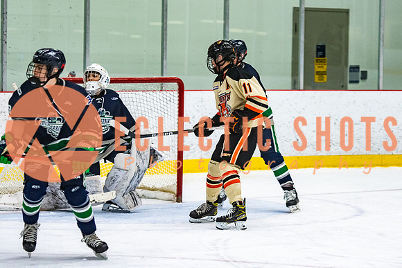 RMC2021-11-12-LloydBobcats-FVT-Birds-5971
