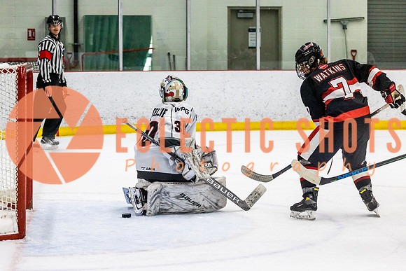 RMC2021-11-12-CalBisons-RinkWinnipeg-1730