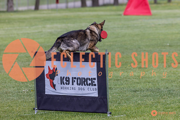 2025-K9Force-MayExams-5892