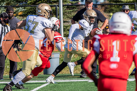CalgaryColts-1497