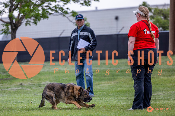 2025-K9Force-MayExams-5441