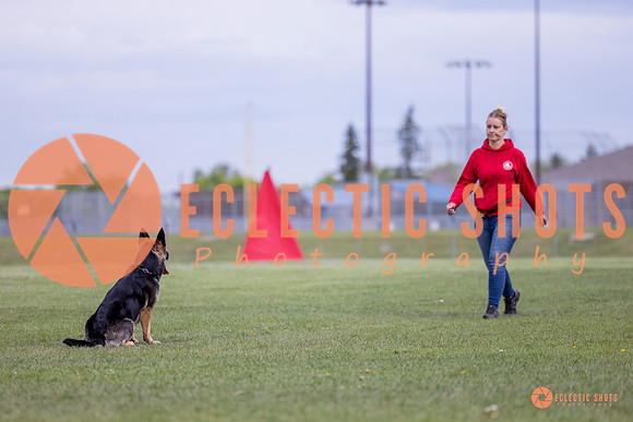 2025-K9Force-MayExams-5749