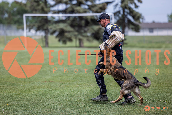 2025-K9Force-MayExams-6438
