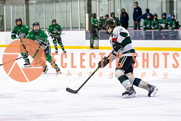 2022.11.12ShParkFlyers-FVTBirds-6986