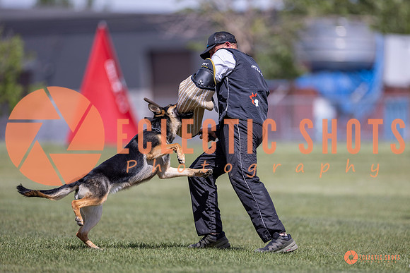 2025-K9Force-MayExams-8107