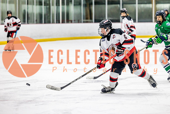 2022.11.11CalBisons-FVTBirds-4122