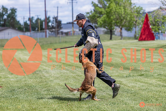 2025-K9Force-MayExams-7693