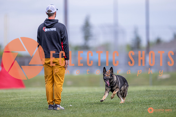 2025-K9Force-MayExams-6586