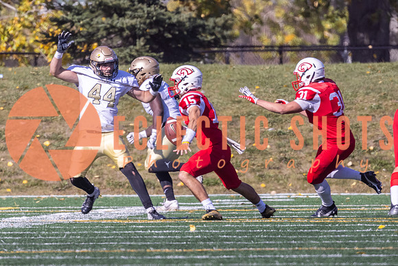 CalgaryColts-9826