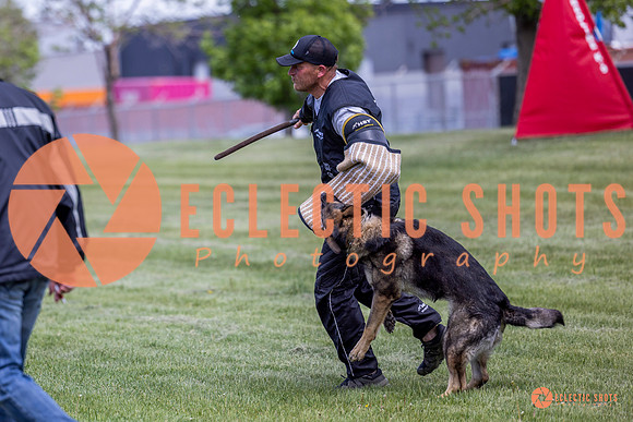 2025-K9Force-MayExams-6948