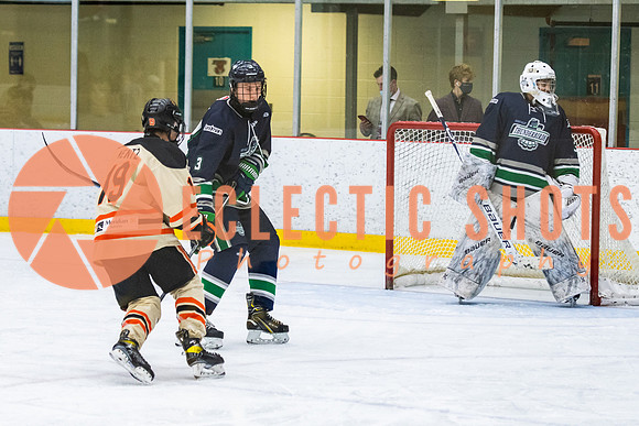 RMC2021-11-12-LloydBobcats-FVT-Birds-6036