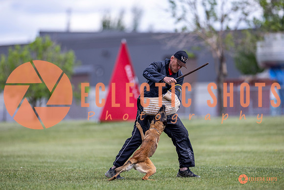 2025-K9Force-MayExams-8551