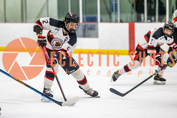 2022.11.11CalBisons-FVTBirds-3991