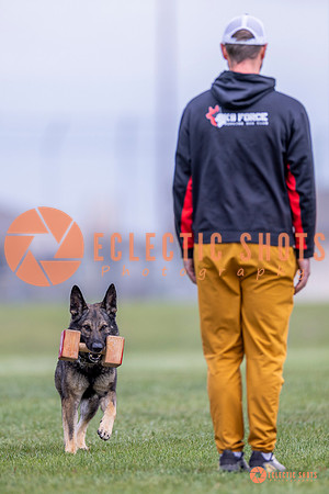 2025-K9Force-MayExams-6630
