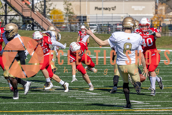 CalgaryColts-9356