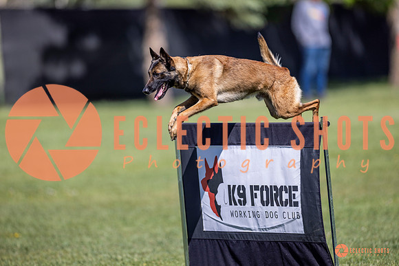 2025-K9Force-MayExams-8214