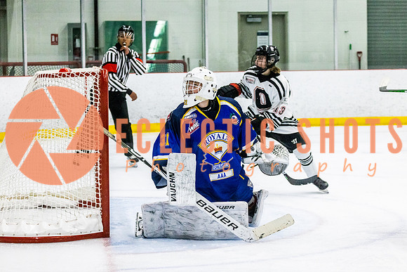 RMC2021-11-11-OHA Edm-CalRoyals-7495