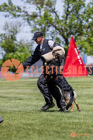 2025-K9Force-MayExams-7234