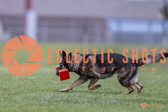 2025-K9Force-MayExams-6621