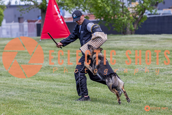 2025-K9Force-MayExams-6938