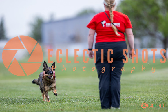 2025-K9Force-MayExams-6138