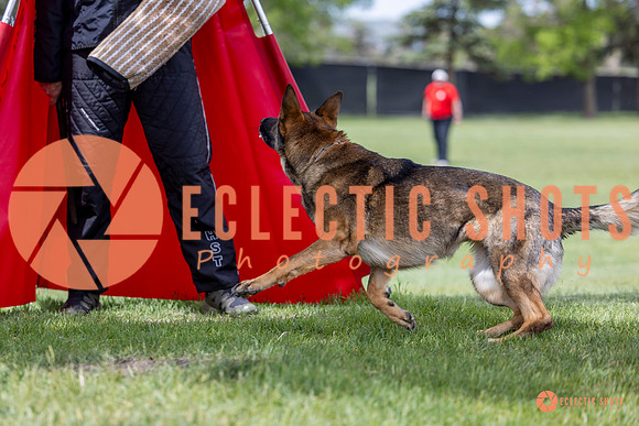 2025-K9Force-MayExams-6306