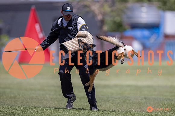 2025-K9Force-MayExams-8098