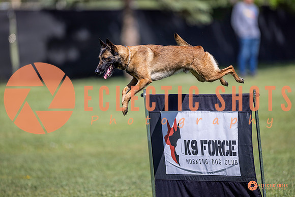 2025-K9Force-MayExams-8215