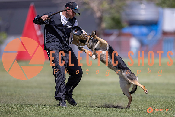 2025-K9Force-MayExams-8094