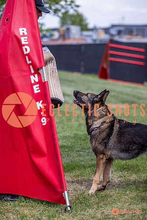 2025-K9Force-MayExams-6900