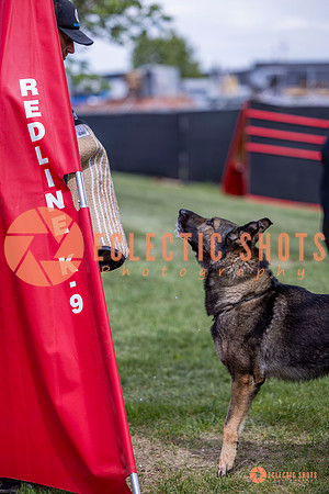 2025-K9Force-MayExams-6826