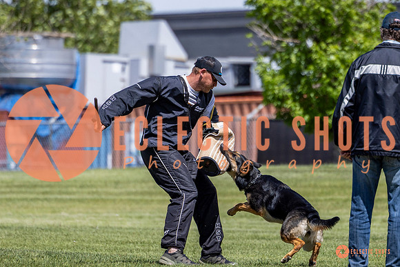 2025-K9Force-MayExams-7289-2
