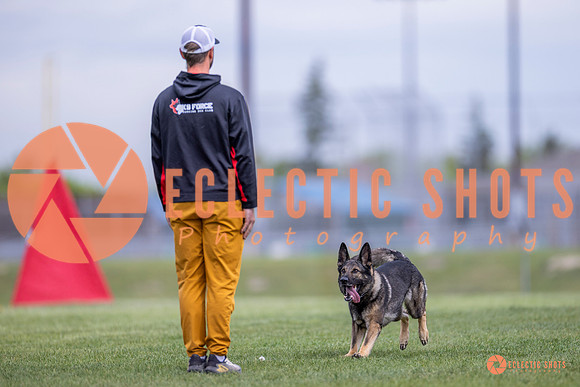 2025-K9Force-MayExams-6588