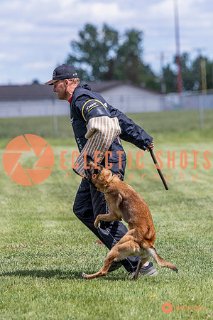2025-K9Force-MayExams-7706