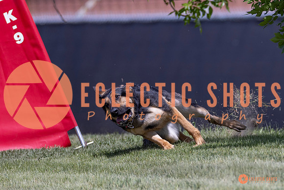 2025-K9Force-MayExams-8011