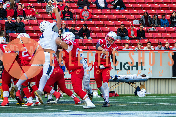 CalgaryColts2018-1053