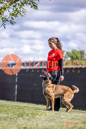 2025-K9Force-MayExams-7684