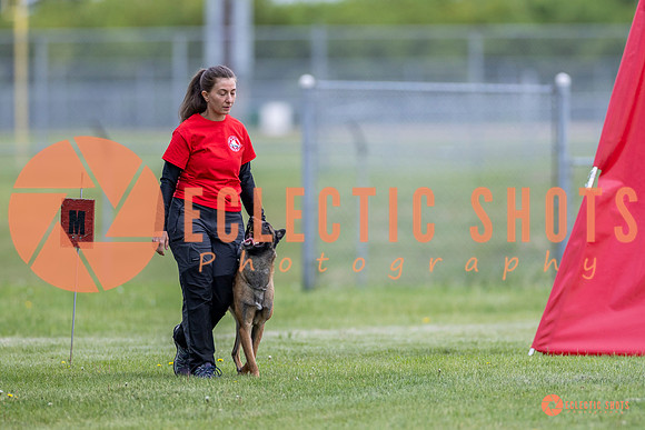 2025-K9Force-MayExams-5945