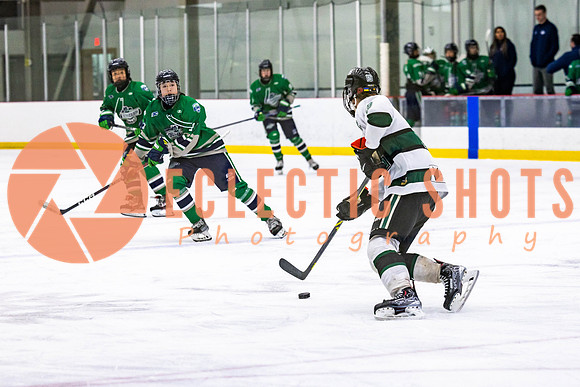 2022.11.12ShParkFlyers-FVTBirds-6987