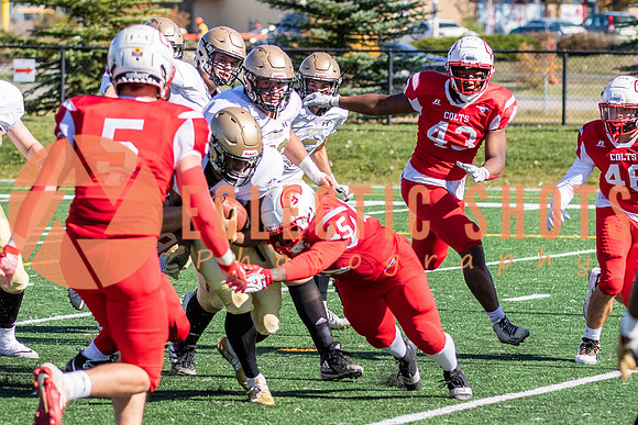 CalgaryColts-0647