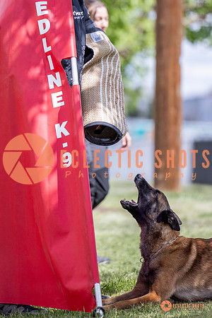 2025-K9Force-MayExams-7683