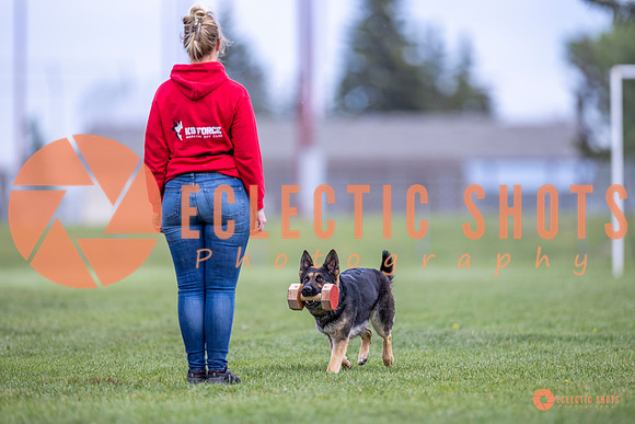 2025-K9Force-MayExams-6355
