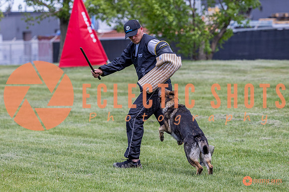 2025-K9Force-MayExams-6937