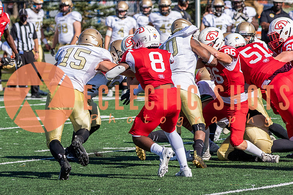 CalgaryColts-1252