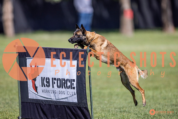 2025-K9Force-MayExams-8210