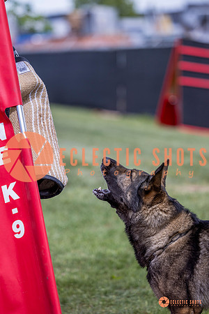 2025-K9Force-MayExams-6840