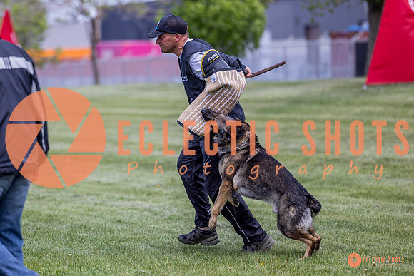 2025-K9Force-MayExams-6950