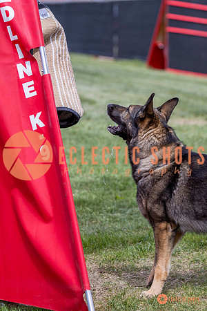 2025-K9Force-MayExams-6914-2