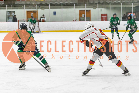 2022.11.09CalFlames-FVTBirds-0540